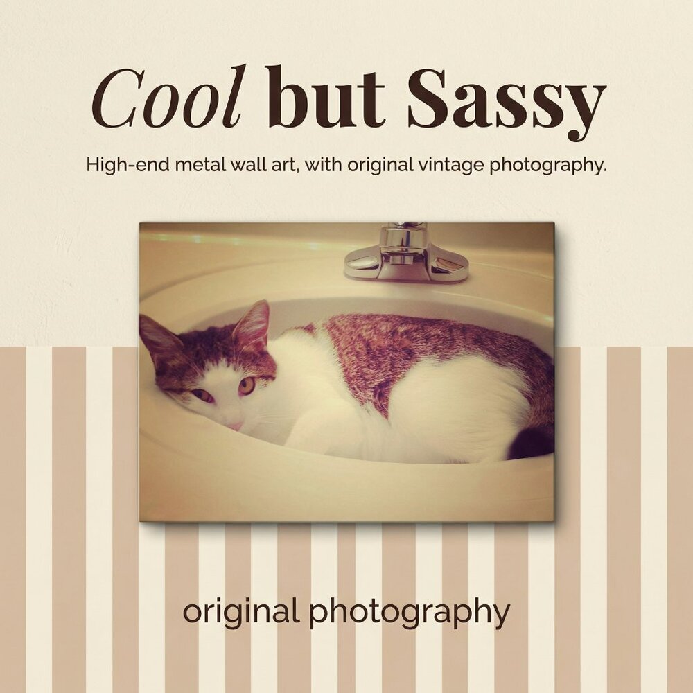 Vintage Cat Metal Wall Art | Sassy Cattitude Mood | Original Photography